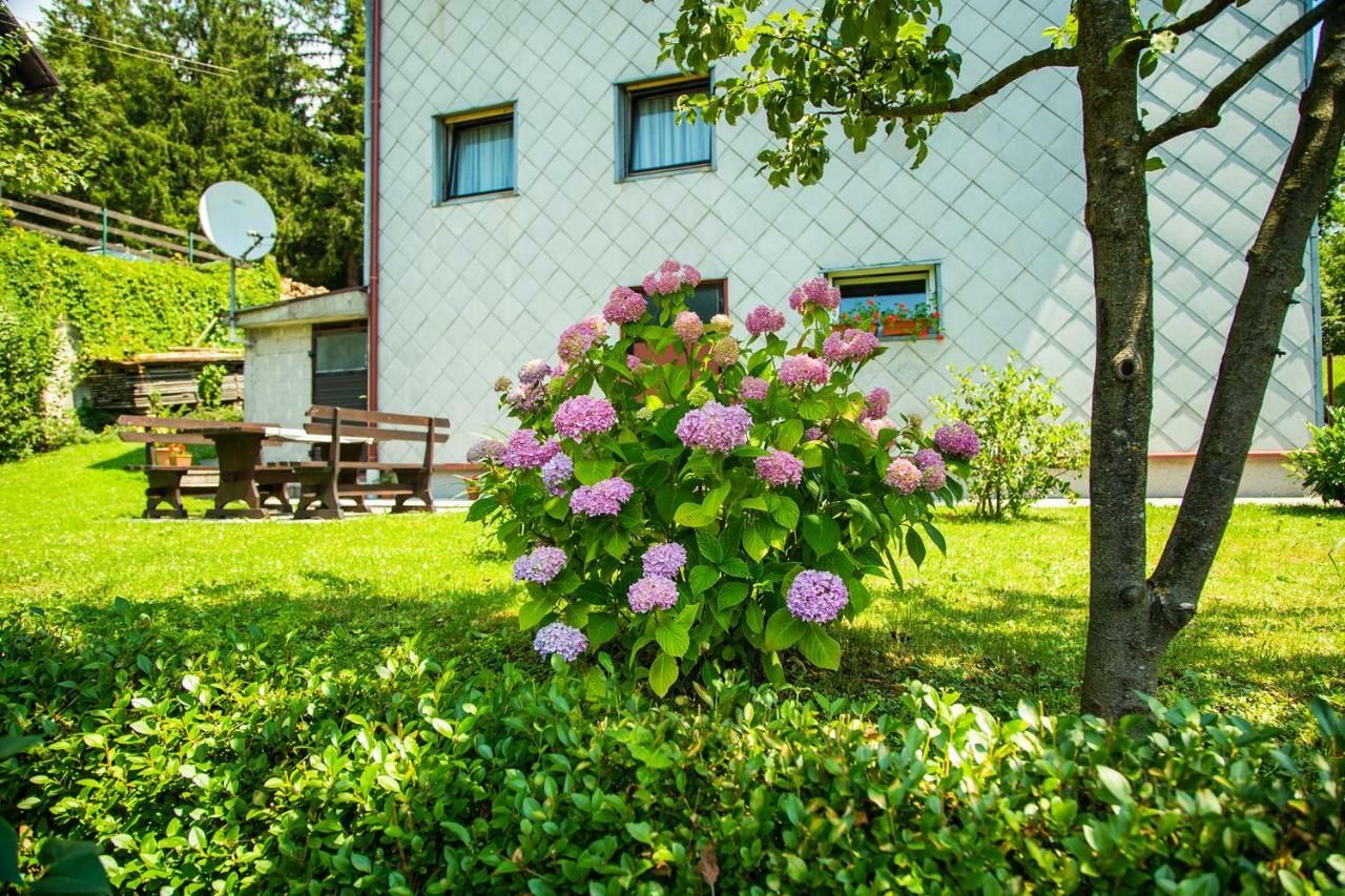 Apartman Japlenski Делнице Екстер'єр фото